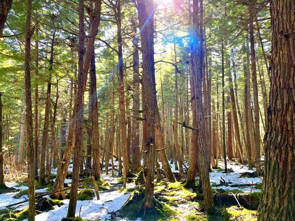 Small Tracts Road Small Tracts Rd #3138, Haines, AK 99827