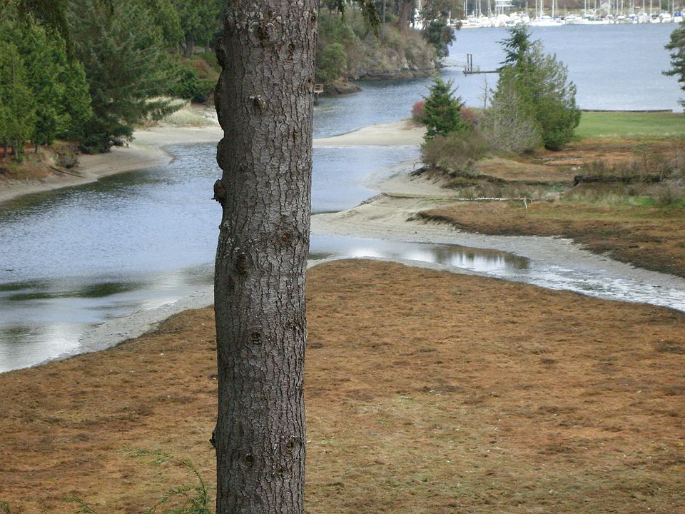 6-water view_11072013