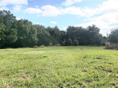 Sunny Point Ln, Plant City, FL, 33565