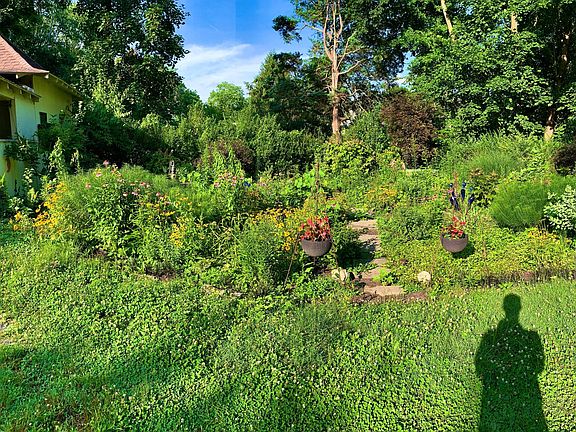 Wonderful Garden in backyard