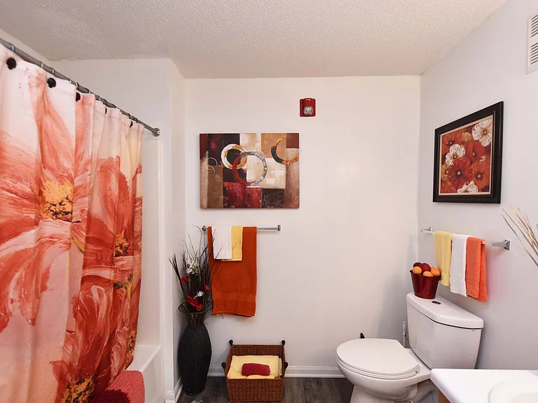 Spacious bathroom