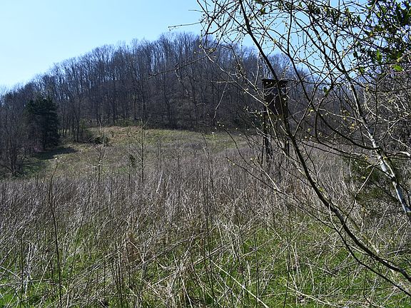 3rd image of Tick Ridge Rd