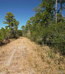 Robinson Point Rd, Milton, FL, 32583