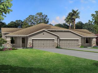 19309 Hawk Valley Dr, Tampa, FL 33647