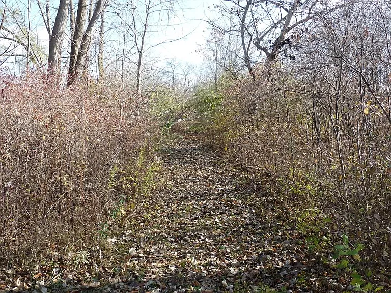 HIKING TRAIL