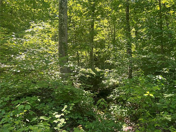 5th image of Terrapin Rd