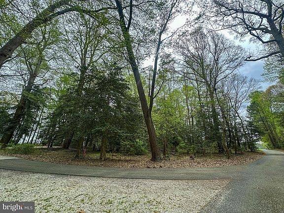 3rd image of LOT 1A Koy Ln