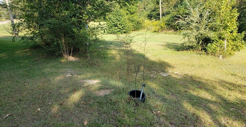 2nd image of 13463 Rifle Range Rd