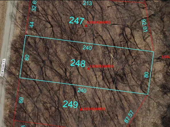 248 Burr Oak Ct, Wataga, IL 61488