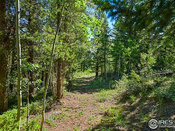 4th image of 66 Blue Spruce Dr