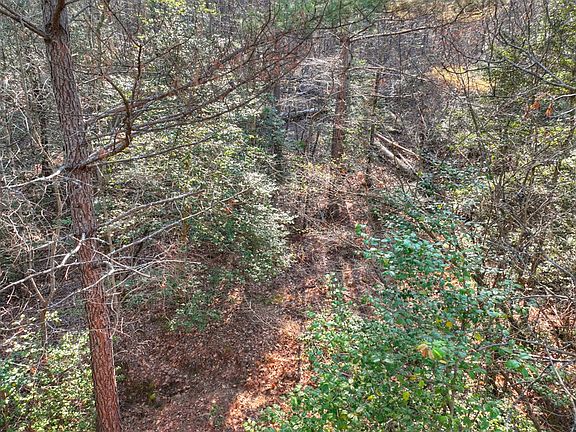 4th image of 233 Ridge Pointe Way