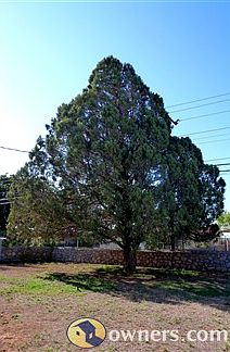5th image of 10017 Oakwood Dr