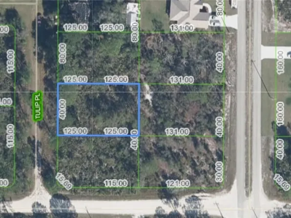 7110 Tulip Pl, Sebring, FL 33875