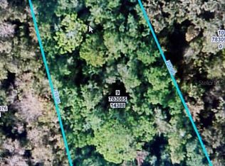 14388 Chimney Swift Rd Lot 9, Brooksville, FL 34614