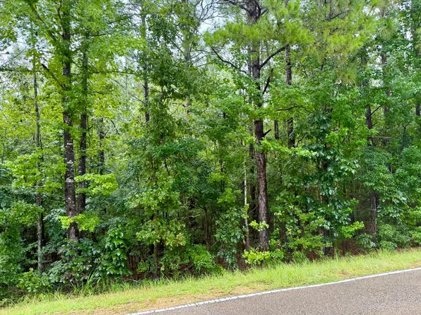 0 Purvis Baxterville Rd, Purvis, MS 39475