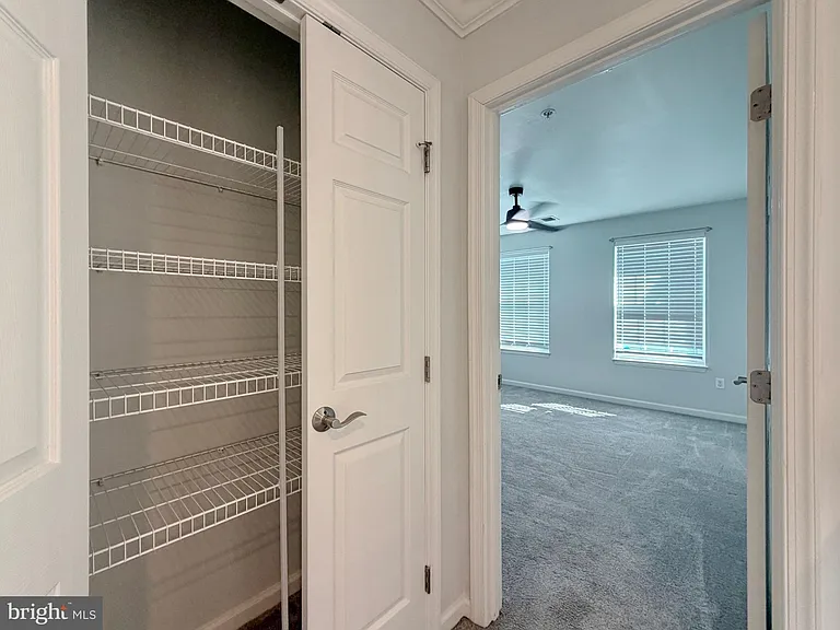 3429 Linden Grove Dr — Photo 65