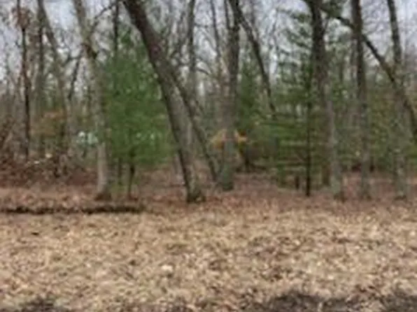 LOT 19 S Star Lake Dr, Baldwin, MI 49304