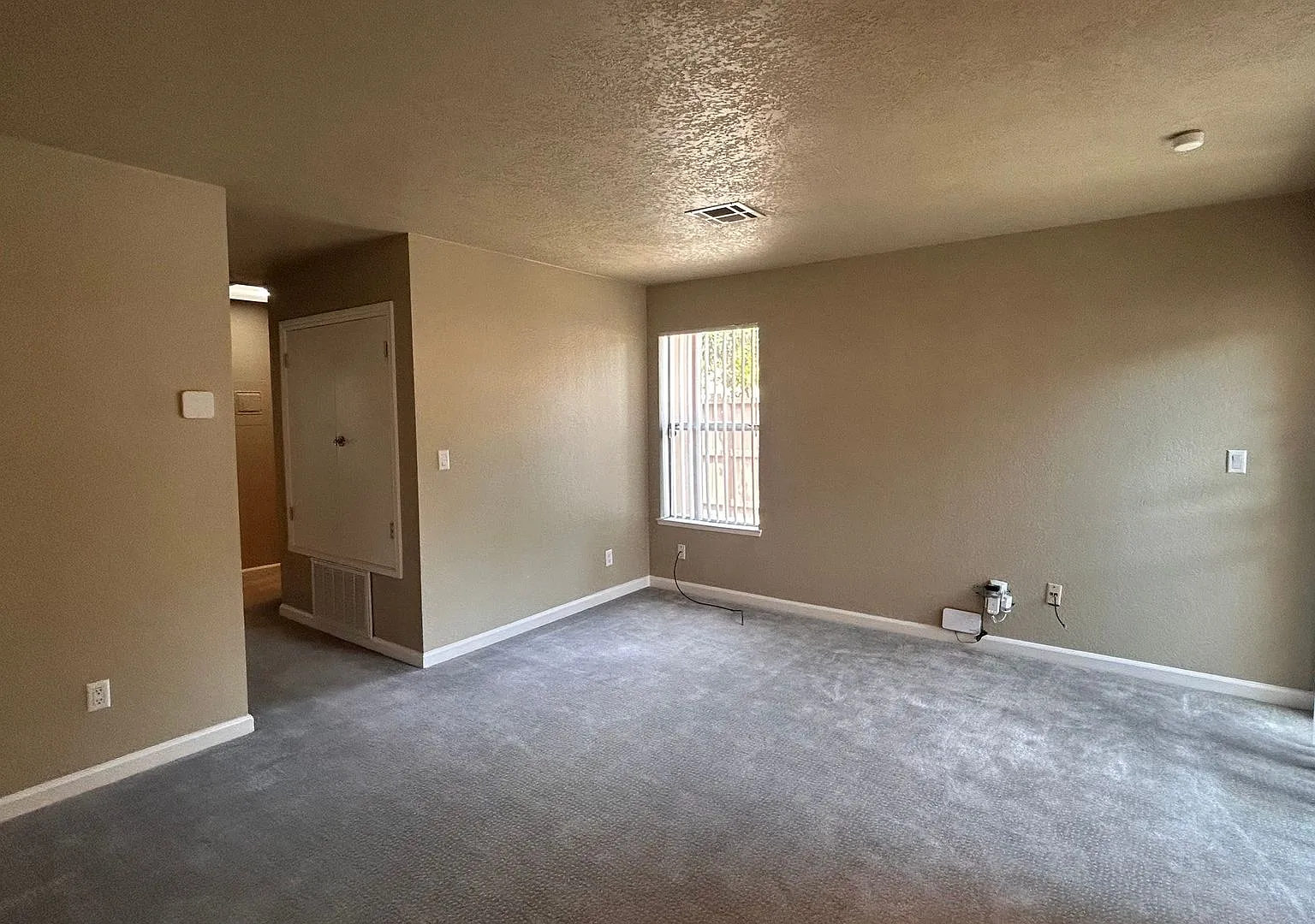 3618 - Reed — Photo 3
