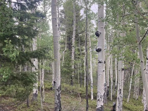 LOT 6785 Starkweather Road LOT 6785, San Luis, CO 81152