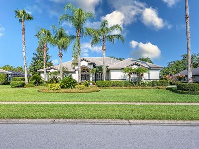 6107 Audubon Manor Blvd, Lithia, FL, 33547
