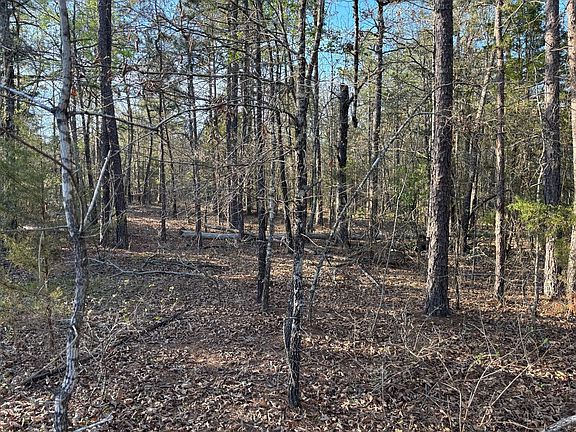 2nd image of 553 Bald Eagle Rd