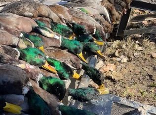 0 Rodney Rd, Lorman, MS 39096