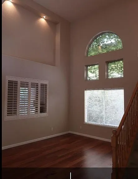 1715 Palatia Dr — Photo 19