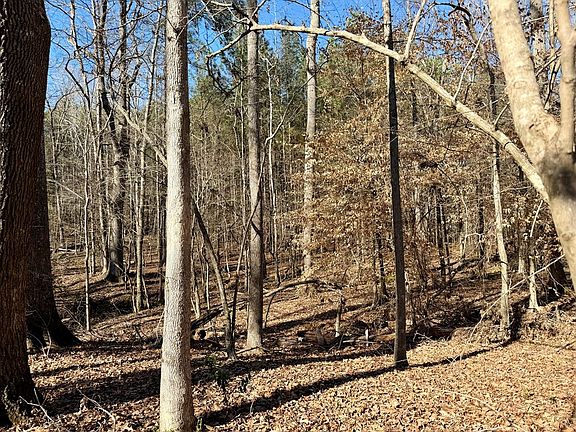 5th image of 122/124 Lollis Rd