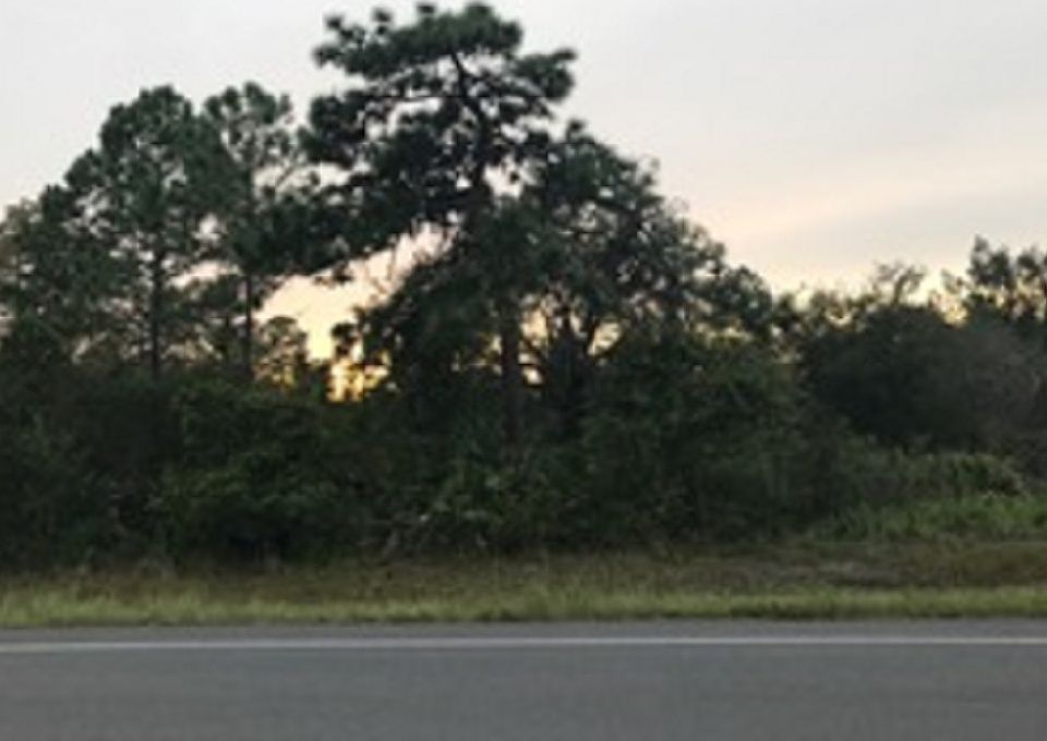 2nd image of Bancroft