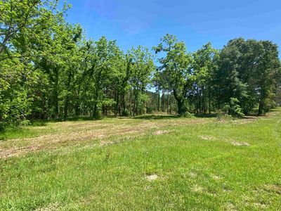 County Road 1642, Linden, TX, 75563