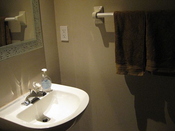 Downstairs Guest Bathroom 