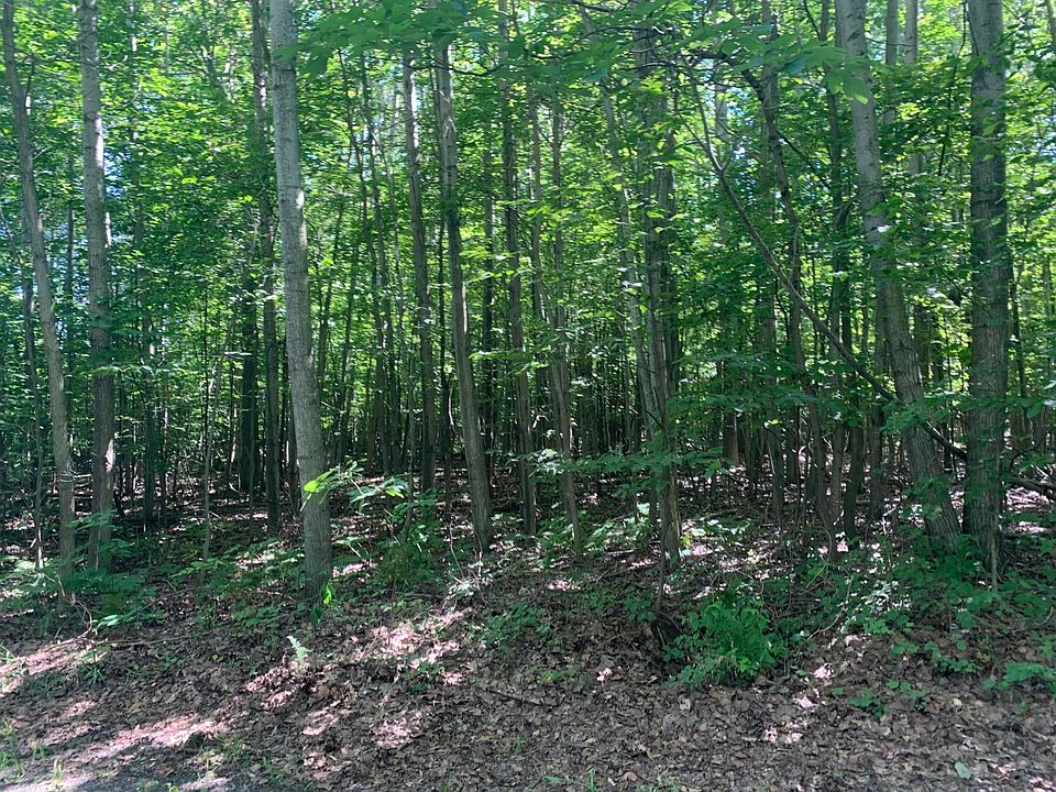 2nd image of LOT 10 W Woodridge Dr