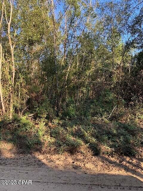 2nd image of 4511 McChapel Rd