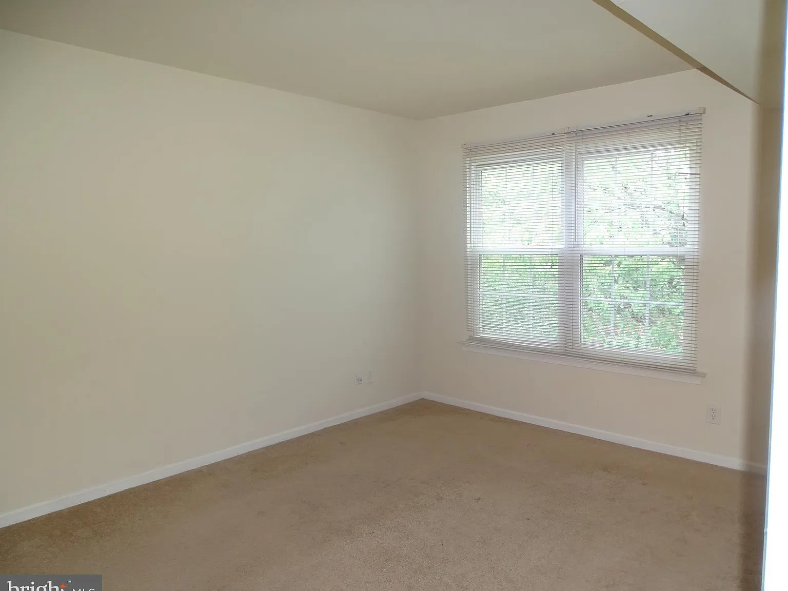 2 bed, 1.0 bath, $2,100 — Photo 4