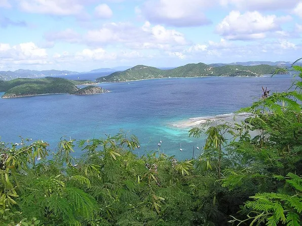 G Saunders Gut, Saint John, VI 00830