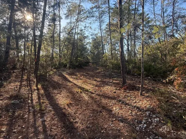 210 MORNINGSIDE Drive, Florahome, FL 32140