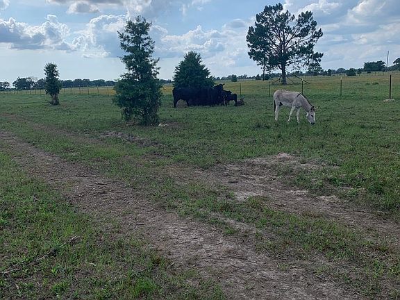 3rd image of 10658 County Road 350