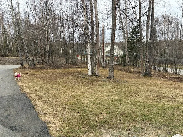 Front yard