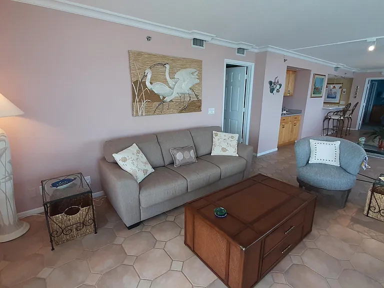 Living Room with Sleep Sofa