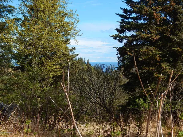 17218 Hyila Ln, Ninilchik, AK 99639