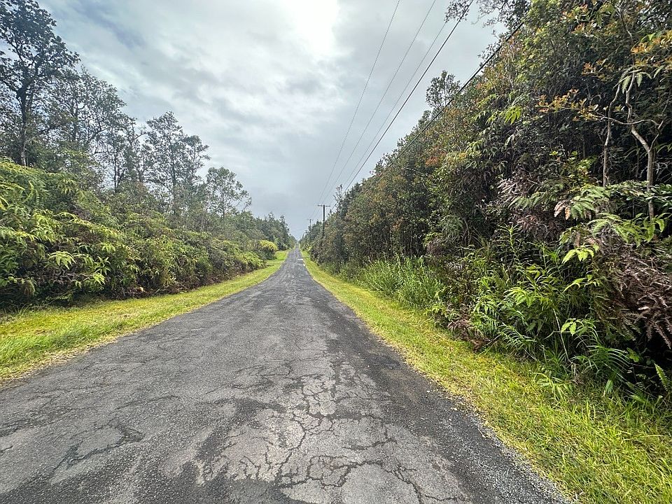2nd image of Hibiscus St Lot 7599