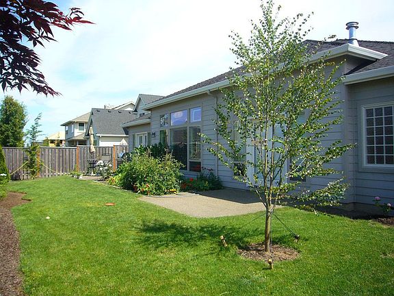 another view of backyard