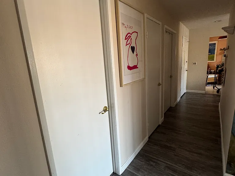 Guest bathroom door on left side of picture. Front door and kitchen are visible in top, right side.