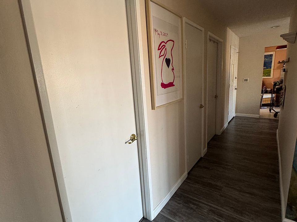 Guest bathroom door on left side of picture. Front door and kitchen are visible in top, right side.