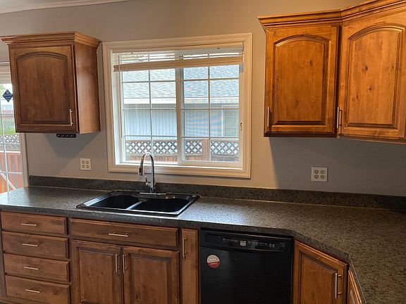 Kitchen Sink and Diswasher