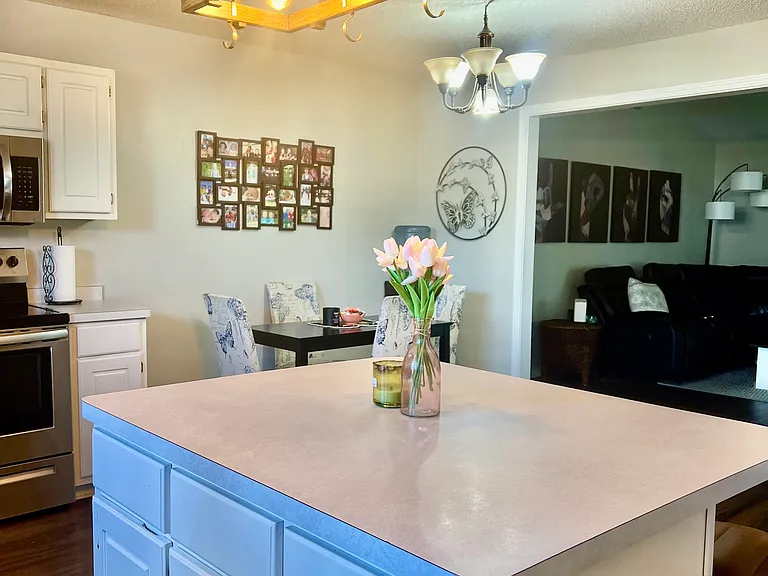 4731 Whitewater Ln — Photo 10