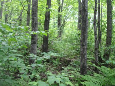 30ACRE S State Highway 27, Radisson, WI, 54867
