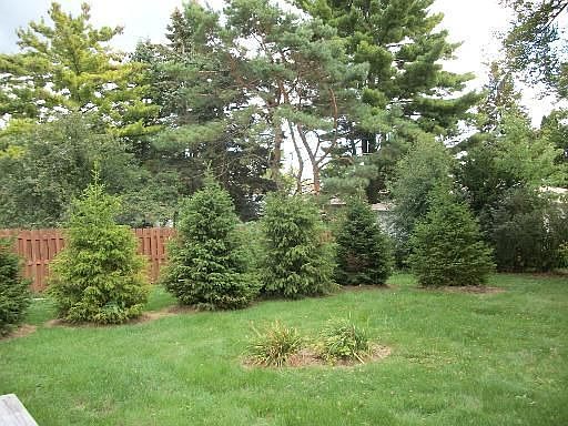 3rd image of 517 W Kimball Ave