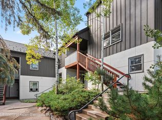 414 Pacific Ave #G, Aspen, CO 81611
