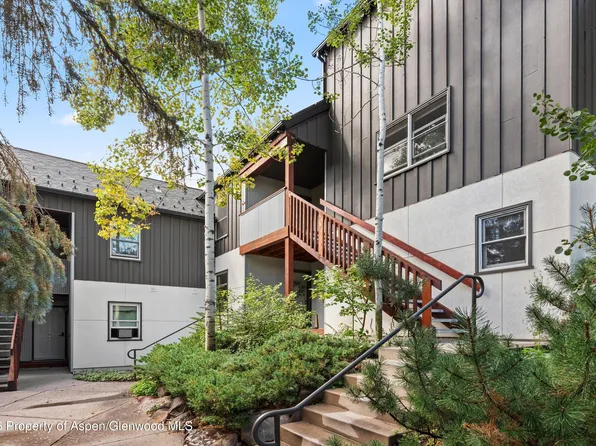 414 Pacific Ave #G, Aspen, CO 81611
